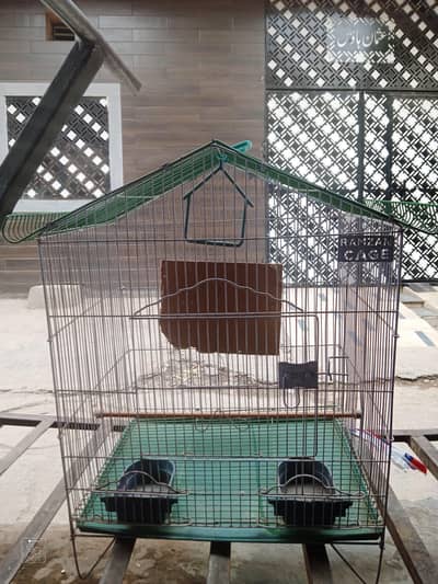 Birds Cage