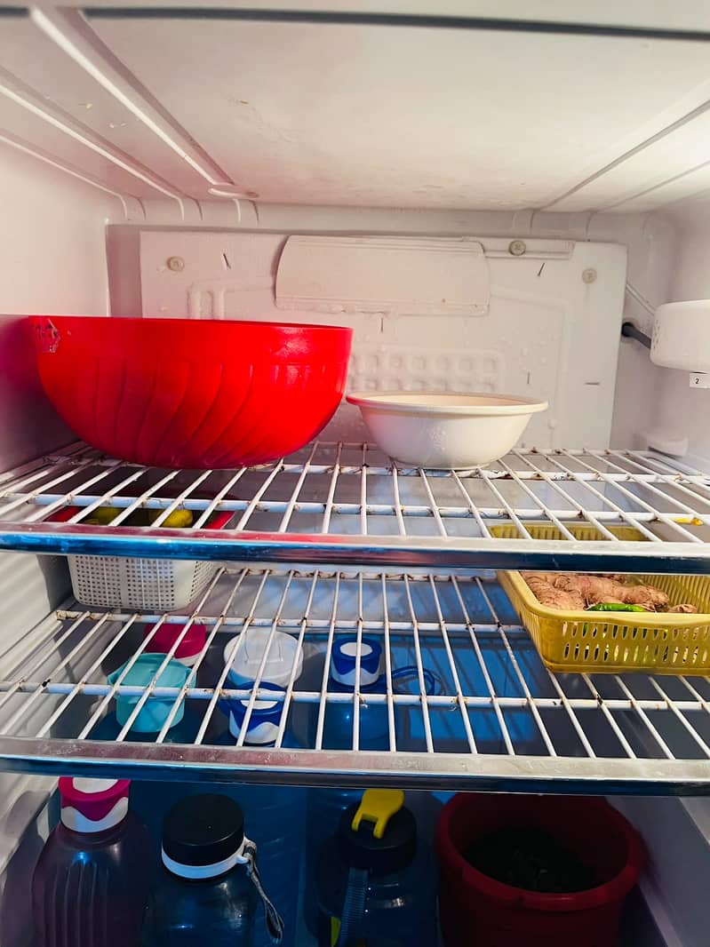 Pel Refrigraitor 4