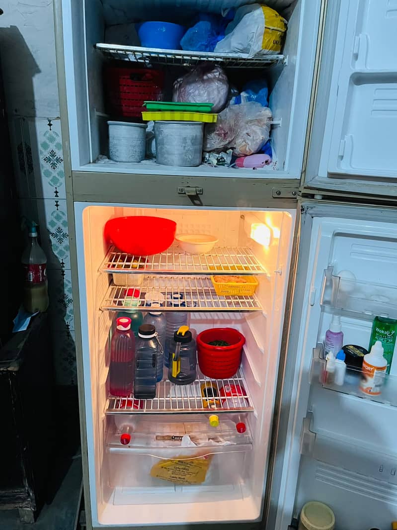 Pel Refrigraitor 5