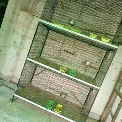 iron cages