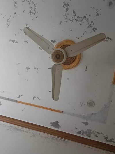 5 fans for sale