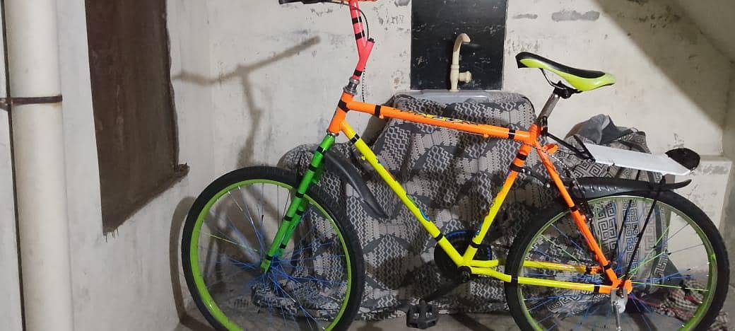 best cycle 1