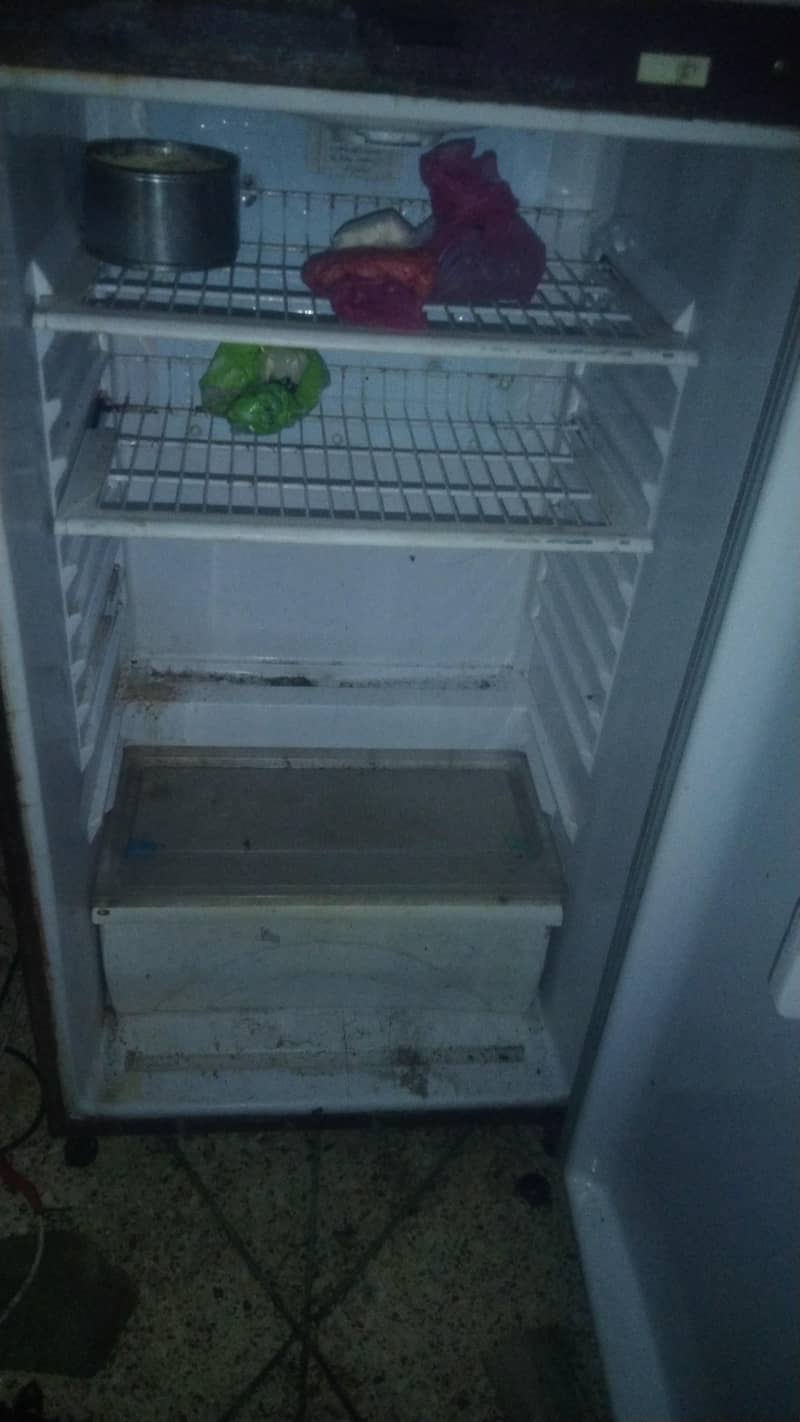 Waves fridge 2