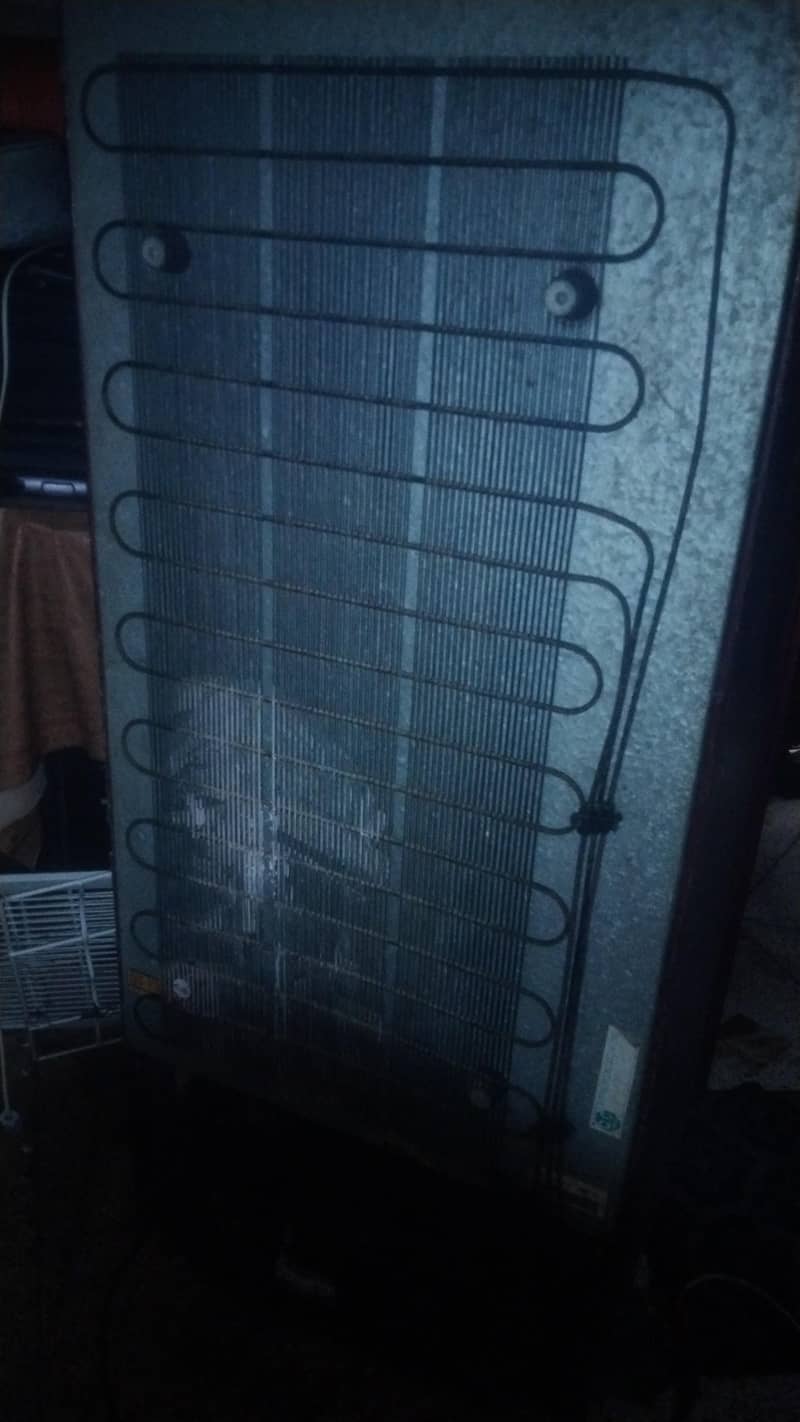 Waves fridge 3