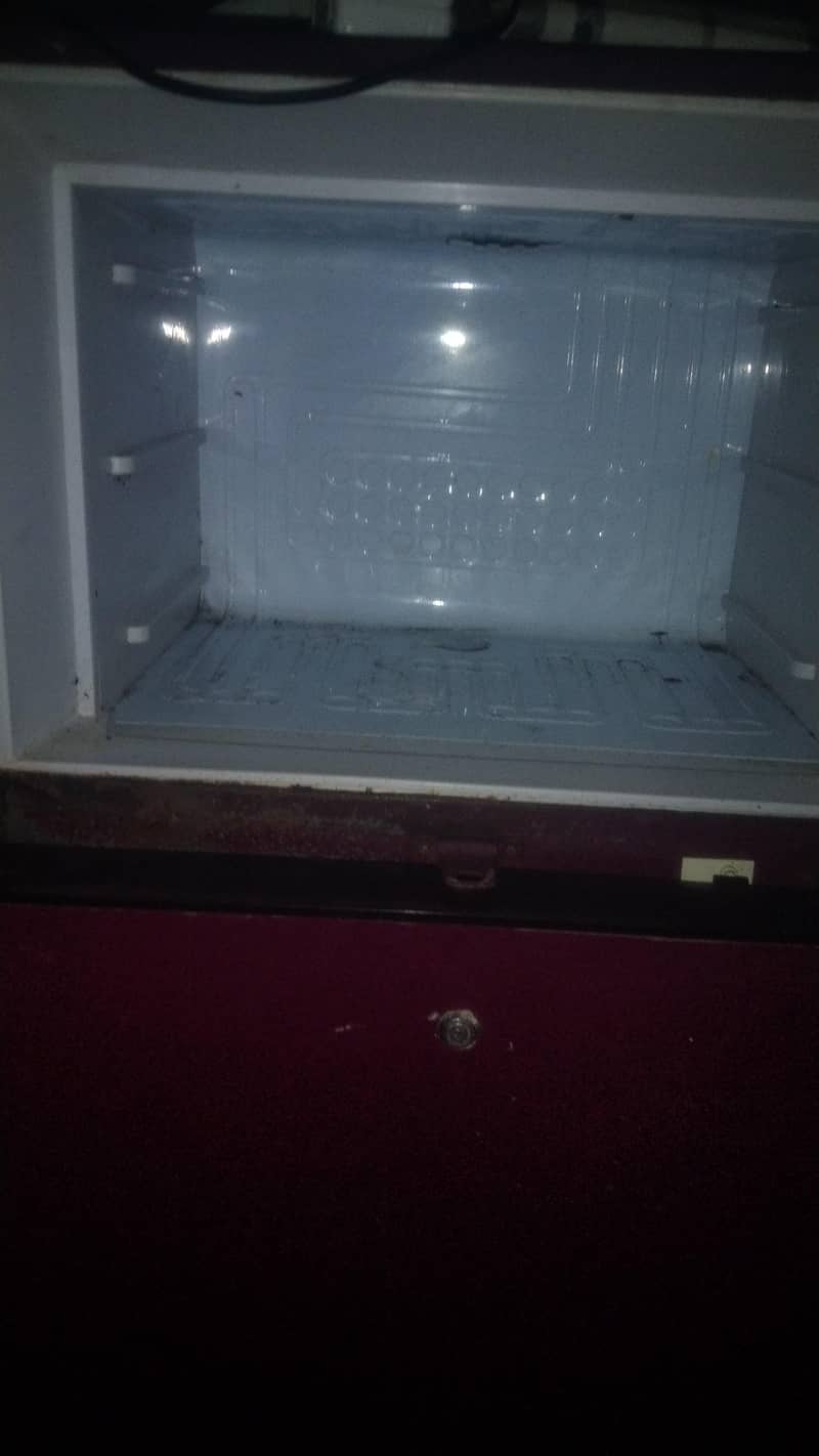 Waves fridge 5