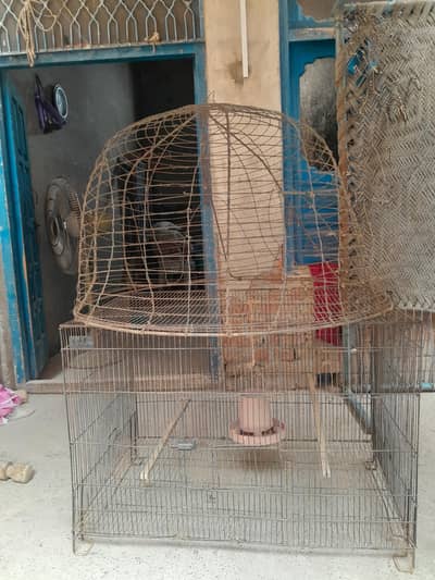 cage and tokra