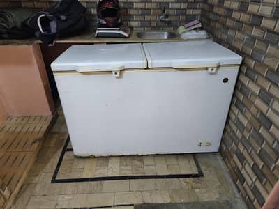 PEL Double Door Deep Freezer – Good Working Condition