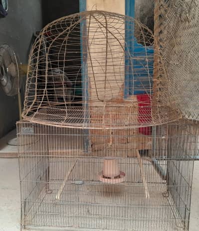 cage and tokra
