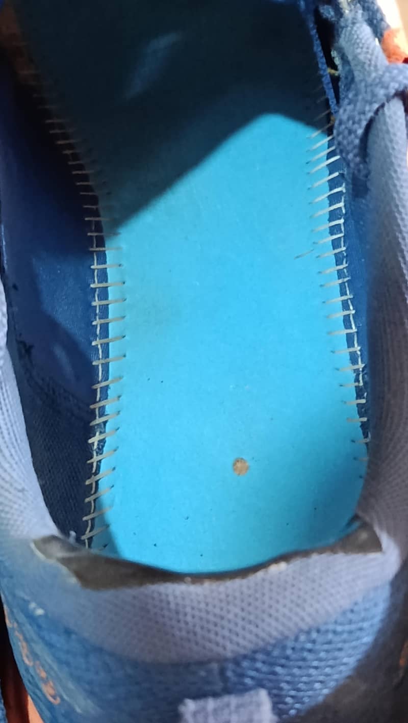 Brooks Cascadia 2