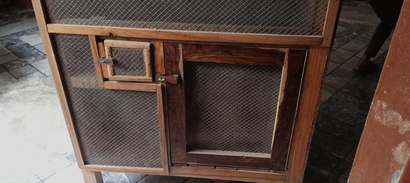 Bird's Cage — photo 2