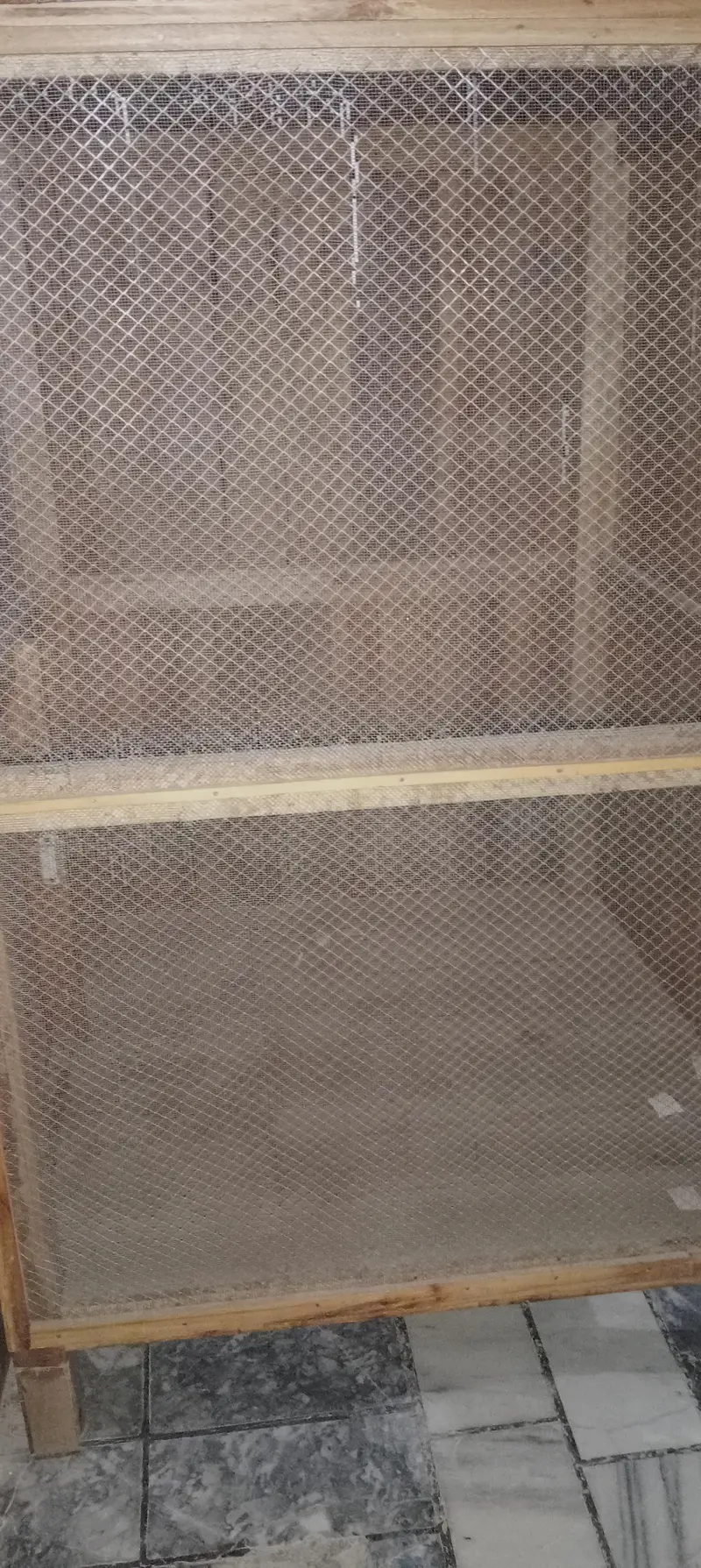 Bird's Cage — photo 8