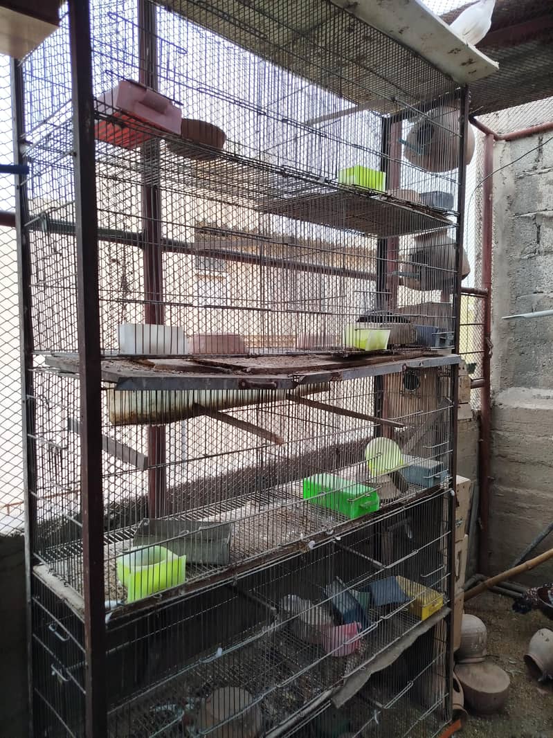 Cages 1