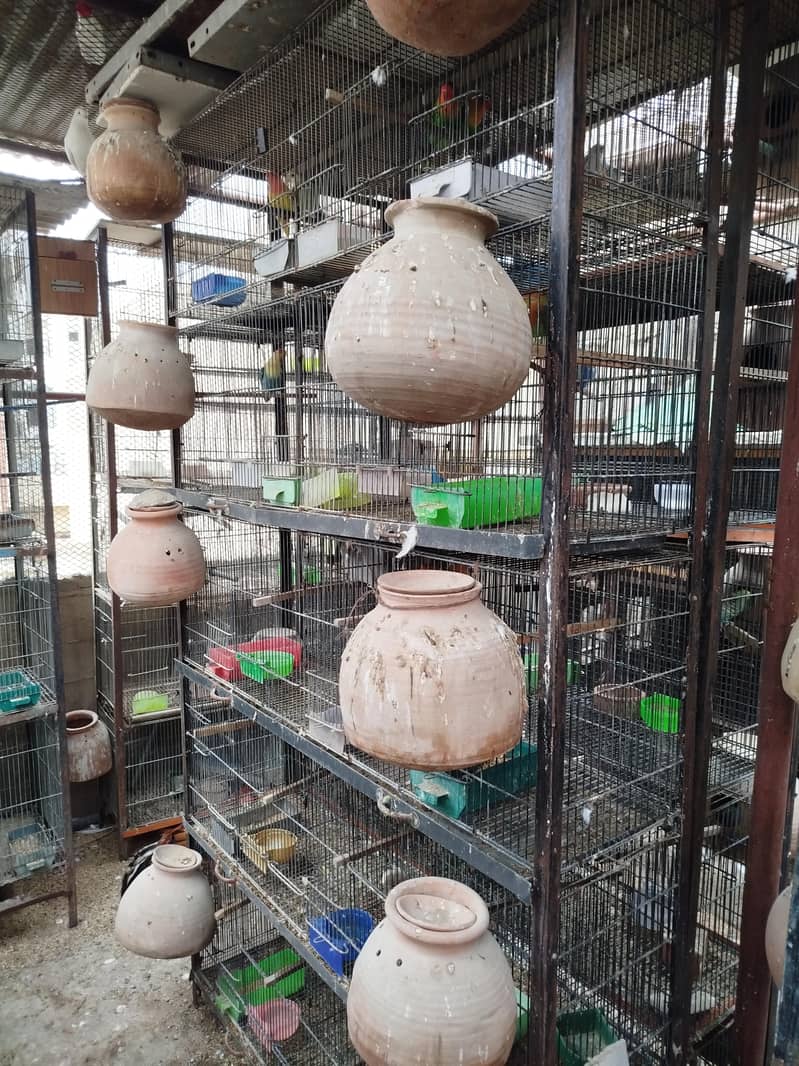 Cages 2
