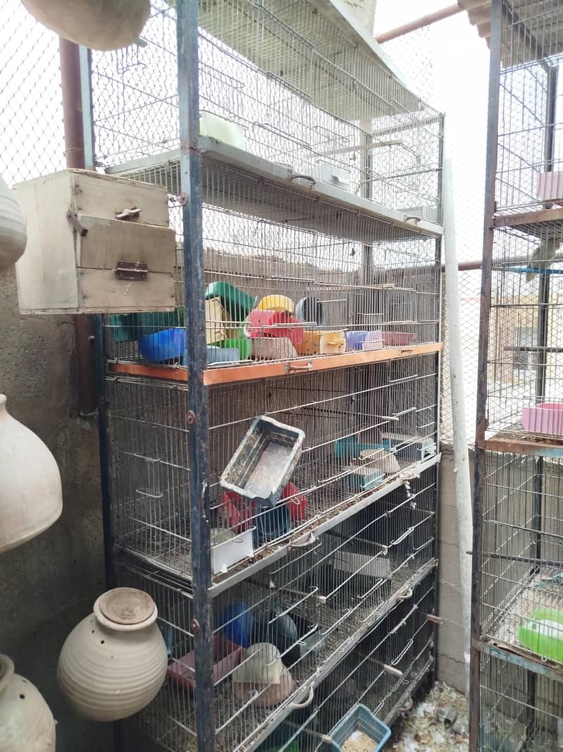 Cages 3