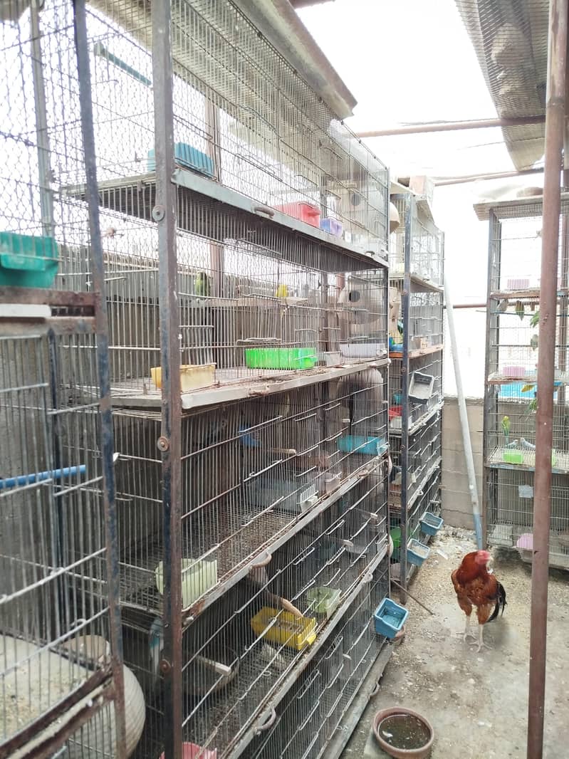 Cages 4