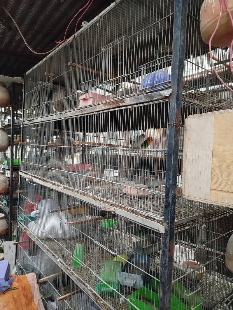 Cages 5