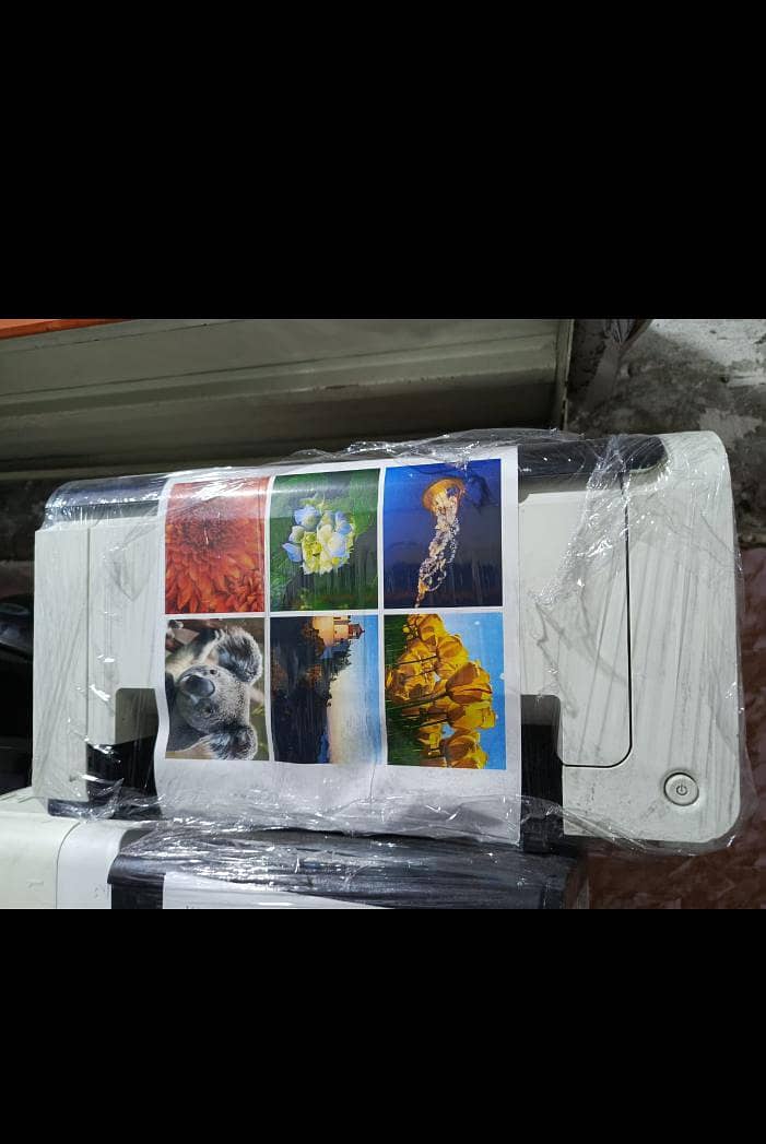 printer colour 1