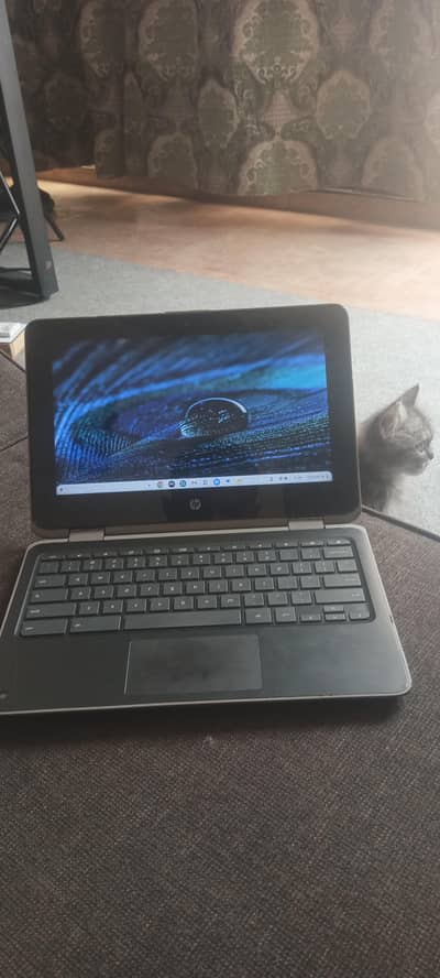 hp Chromebook 11 G2
