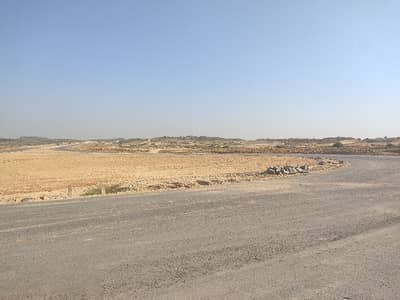 240 Square Yards Spacious Residential Plot Available In Gandhara Society For Sale