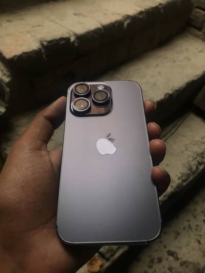 Apple iPhone 12 Pro Max orgnal panel