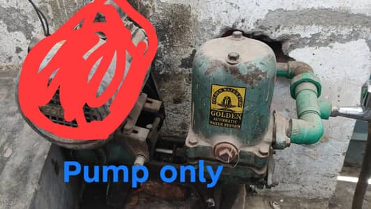 Golden Water Donkey Pump
