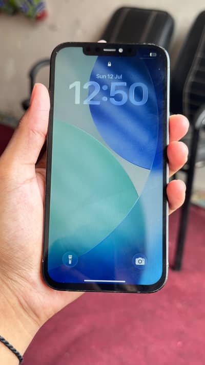 Apple iPhone 12 Pro Max