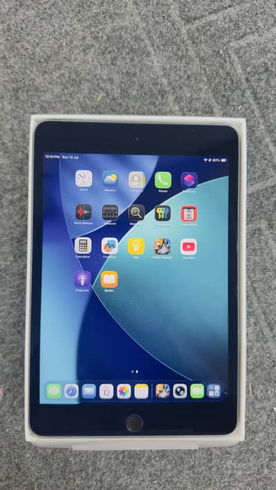 Ipad mini 5 with box charger good condition