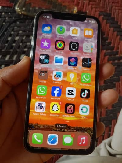 Apple iPhone X