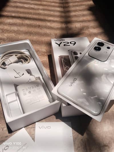 Vivo Y29