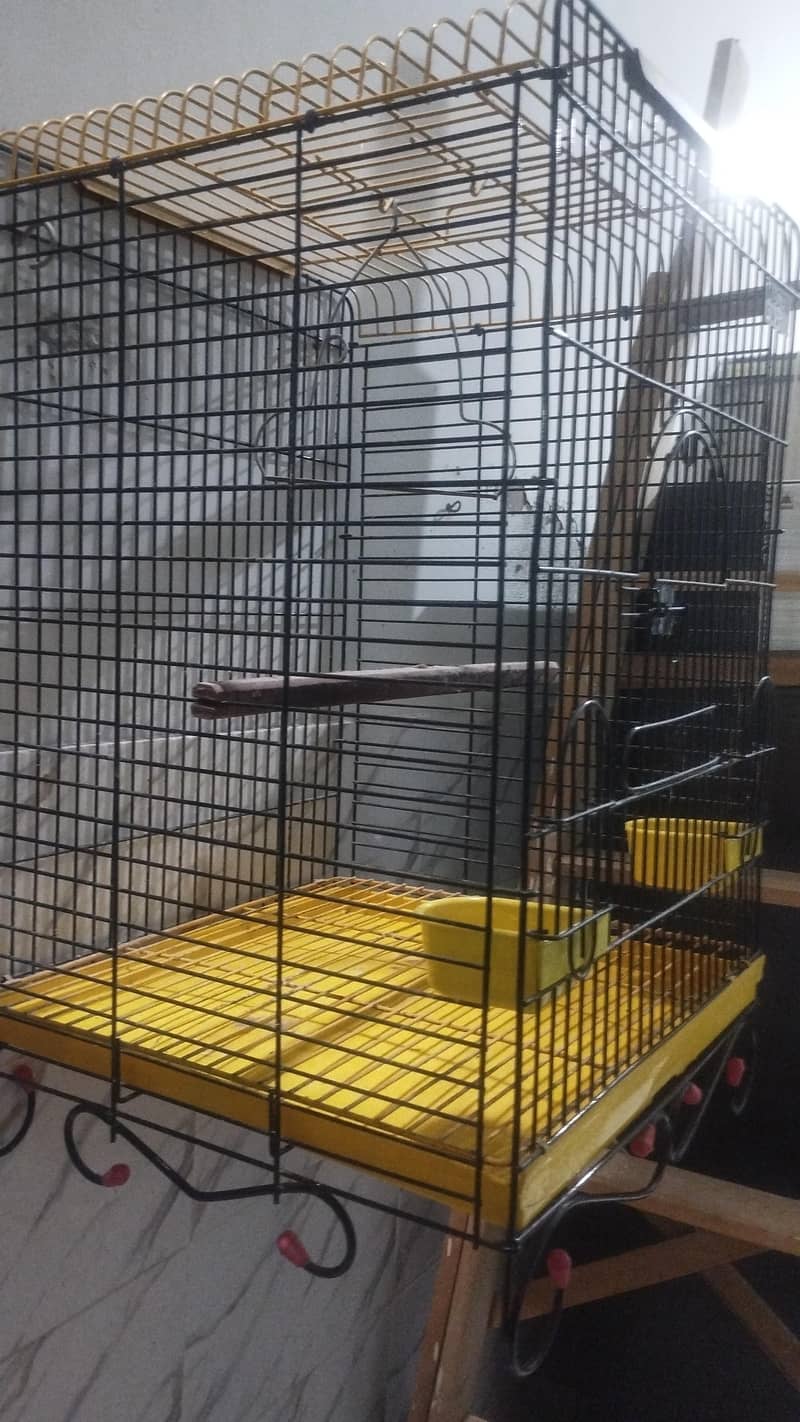 Master cage 1