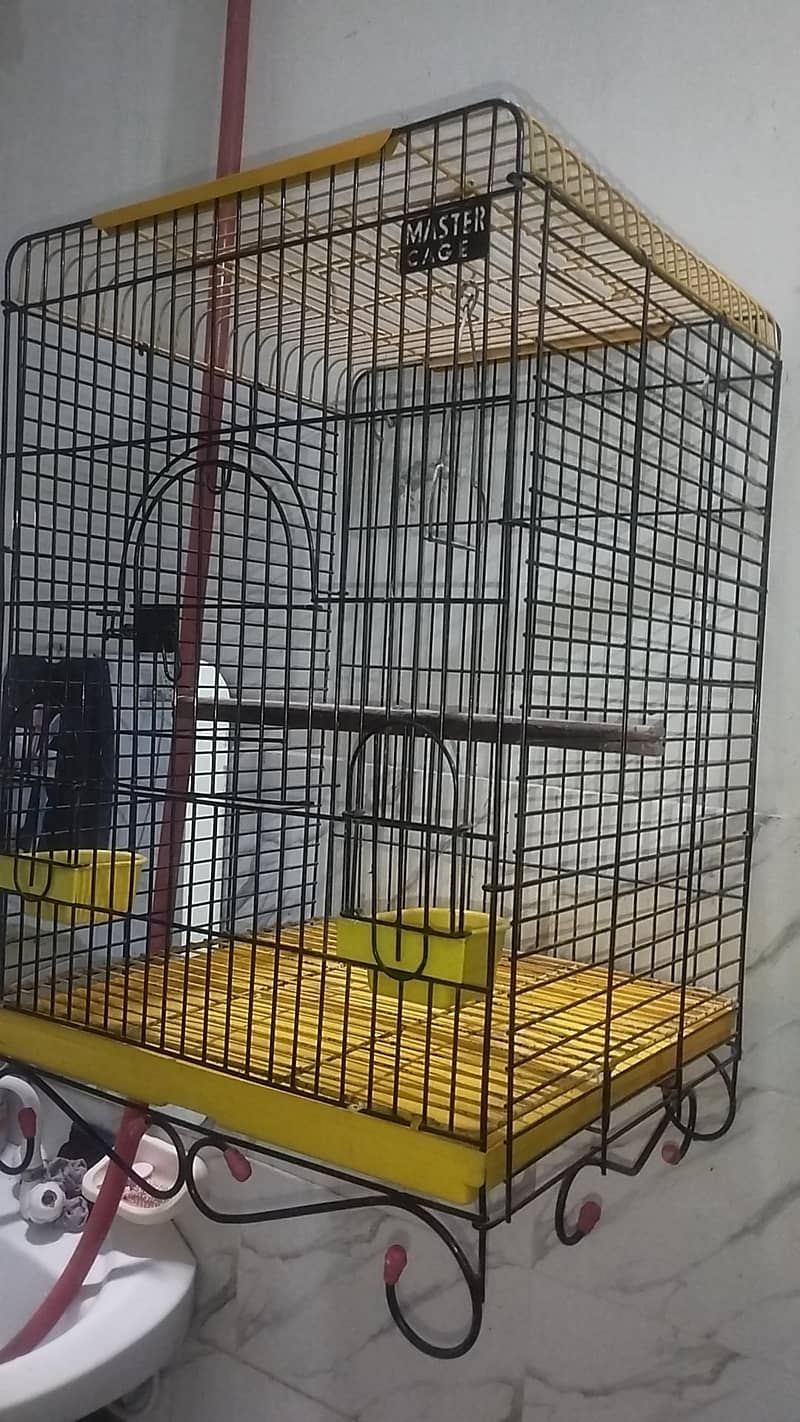 Master cage 2