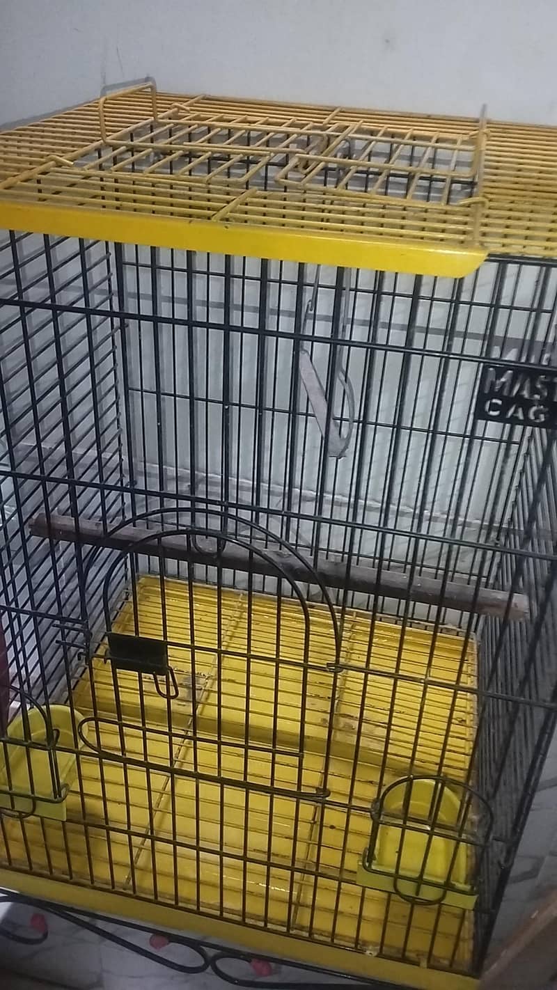 Master cage 3