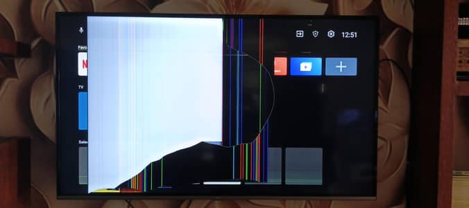 TCL 55Inch Smart Led-Broken panel