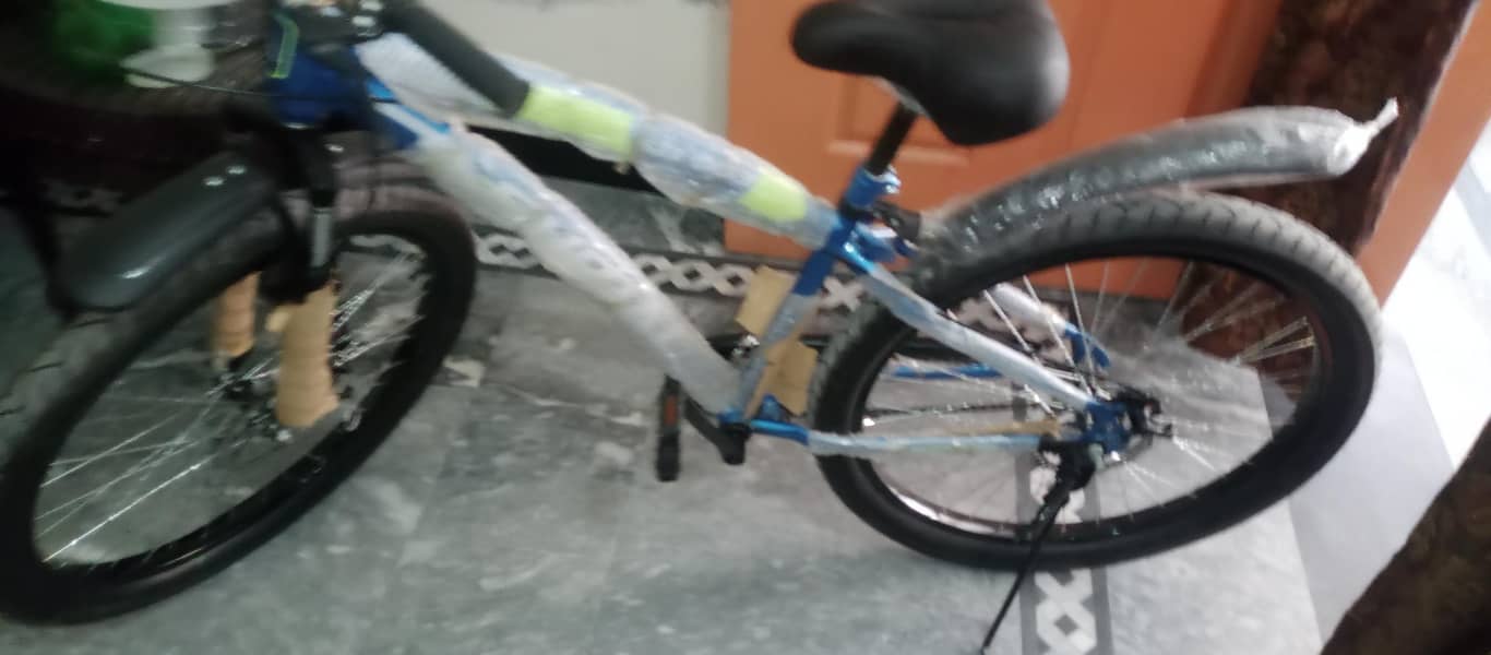 Bicycle 0