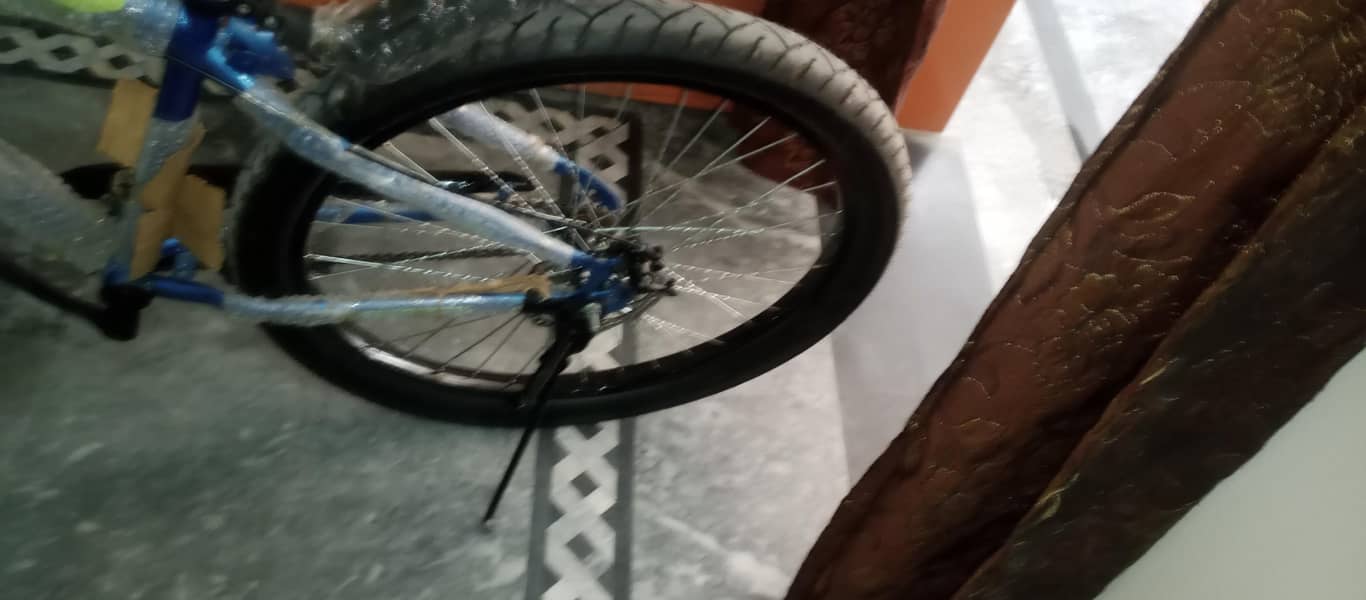 Bicycle 1
