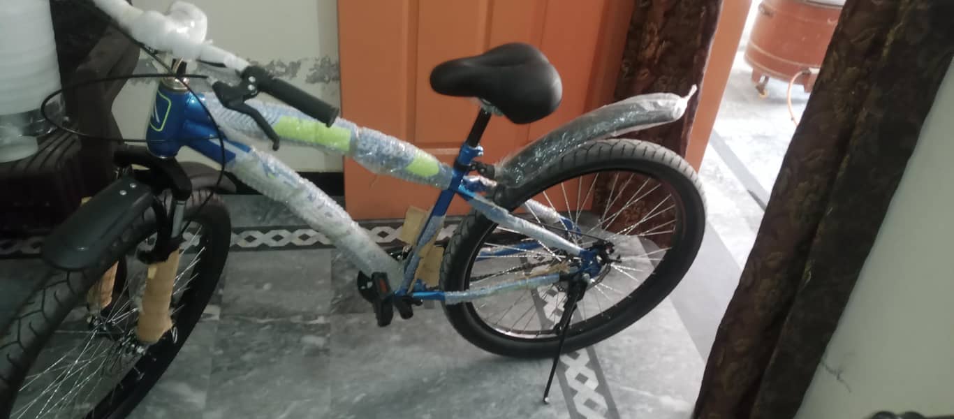Bicycle 3