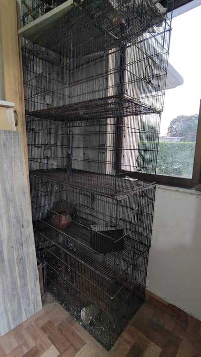 Cages set for birds