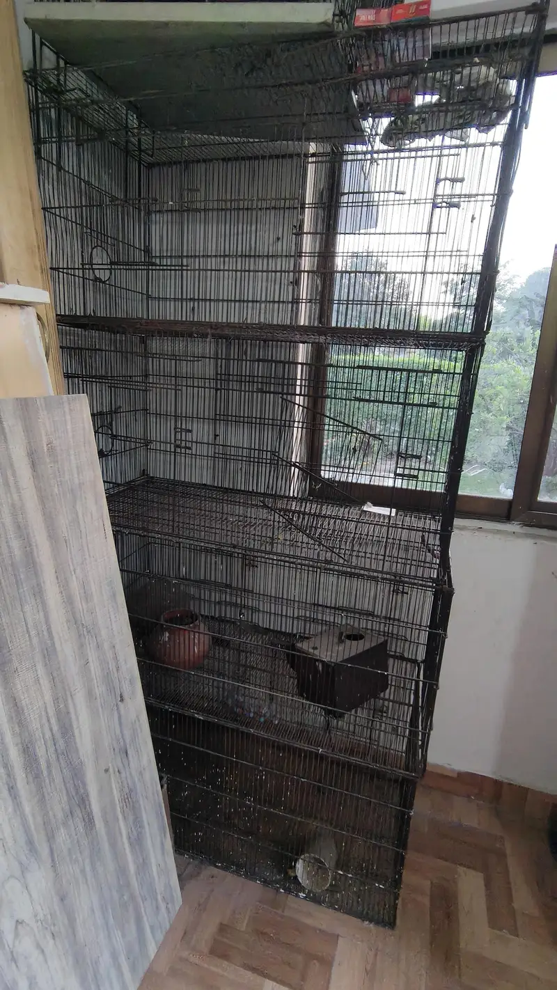 Cages set for birds — photo 2