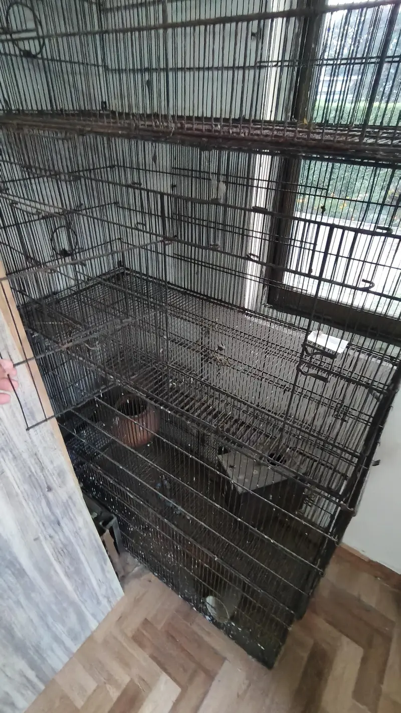 Cages set for birds — photo 4