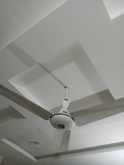 pak fan