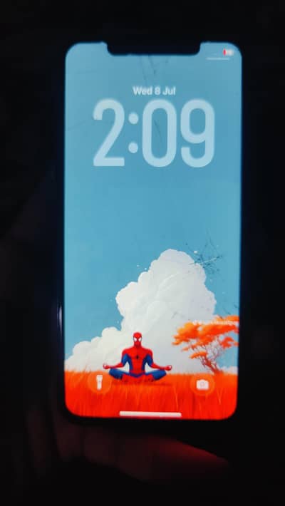 Apple iPhone 11 Pro Max LLA model ha