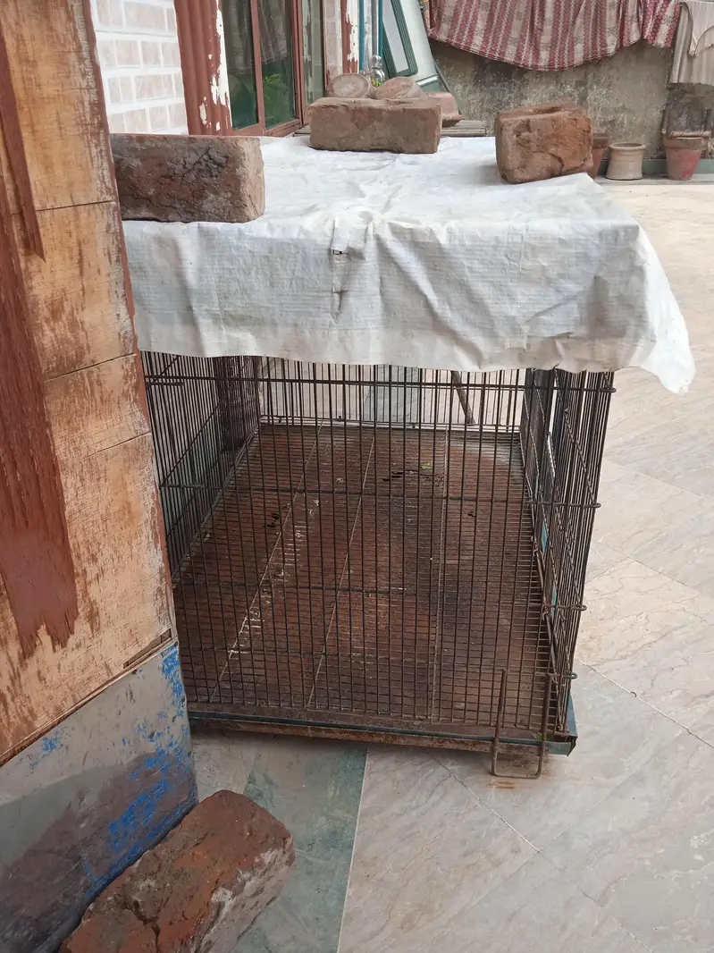 hen cage — photo 2