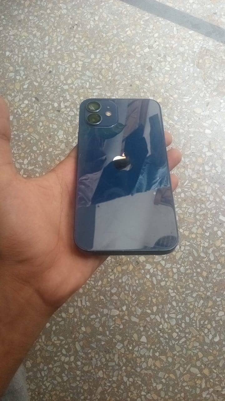Apple iPhone 12 1