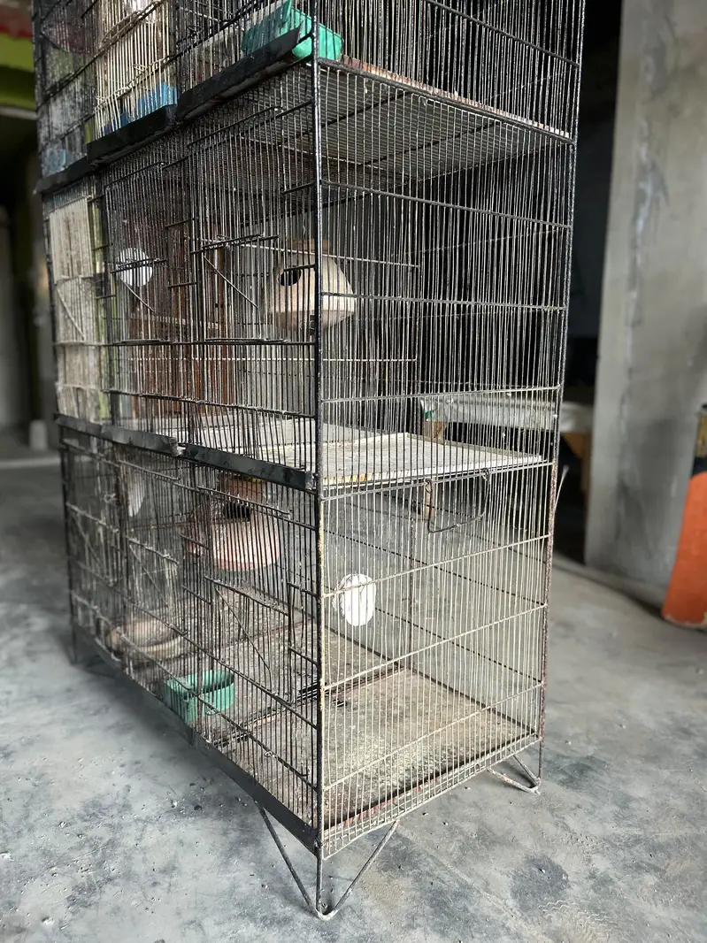 12 portion cage — photo 2