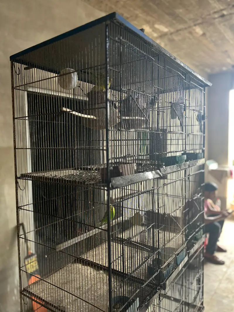12 portion cage — photo 5