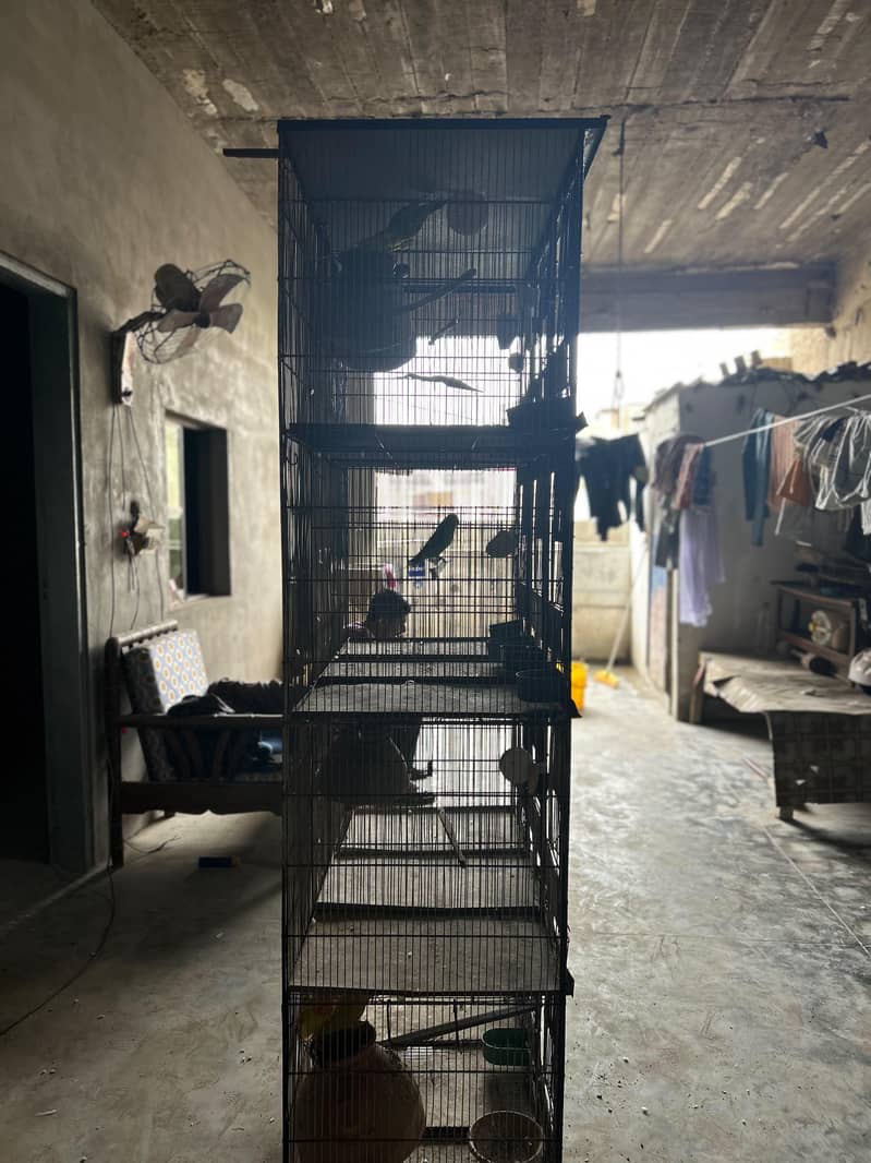 12 portion cage 6