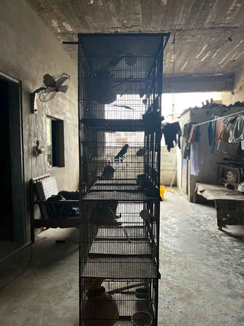 12 portion cage — photo 7