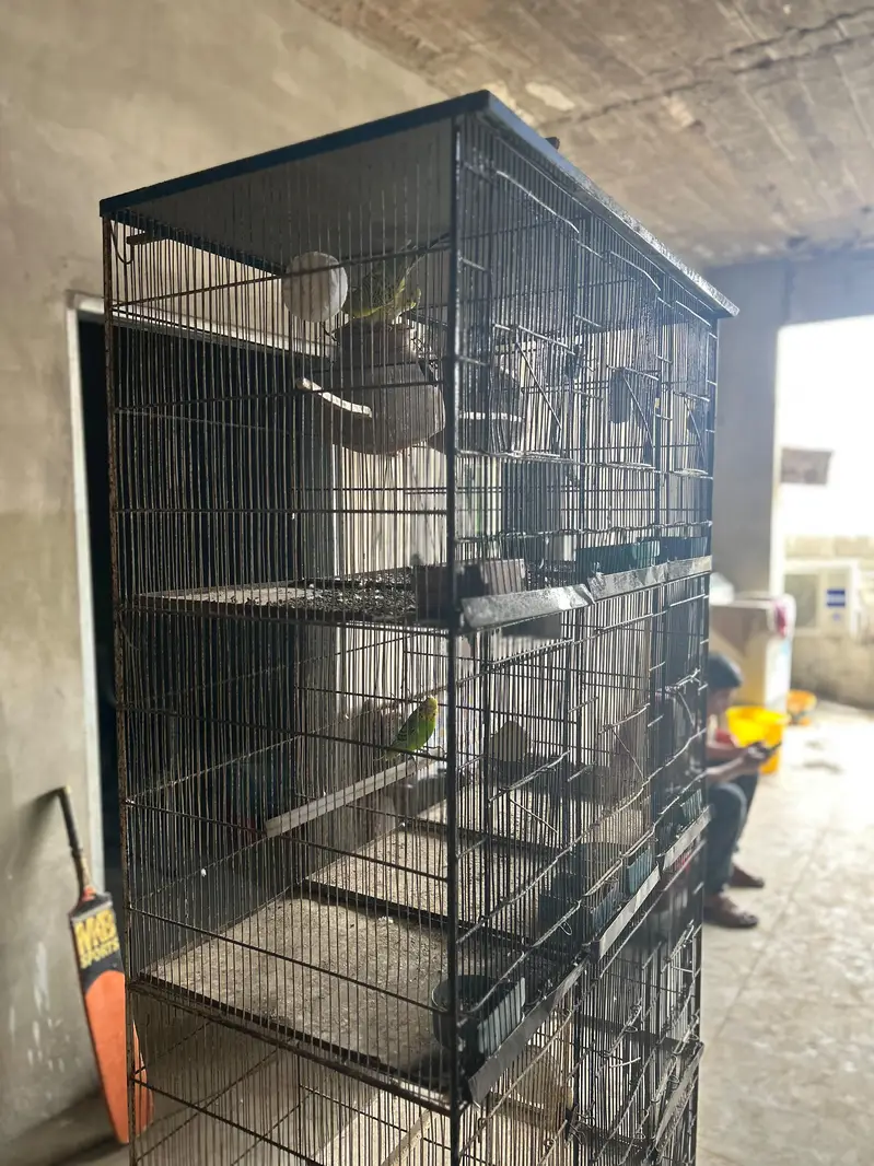 12 portion cage — photo 8