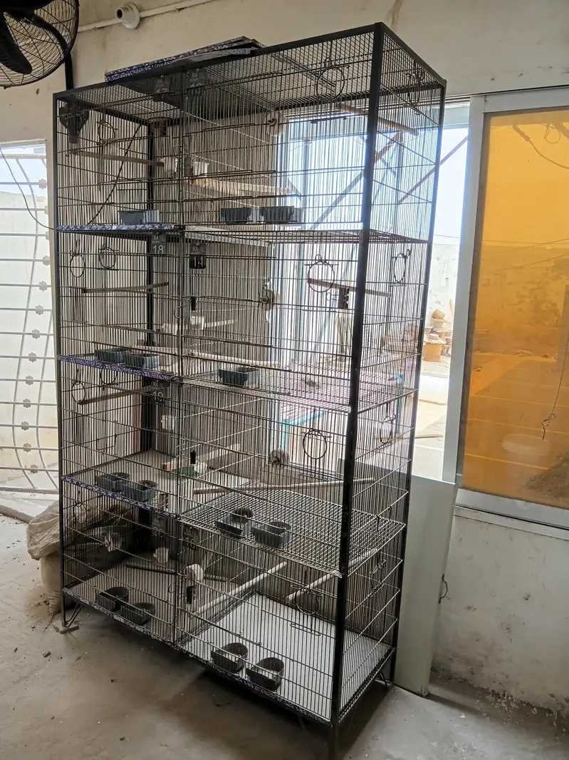 1 cage For Sale — photo 3
