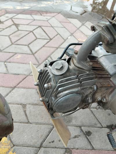 Road Prince RP 70 Passion 2019